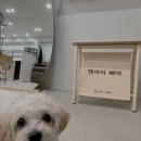 엔아이헤어 이미지