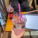 [비즈니스 패턴 영어] 원어민을 사로잡는 영어 프레젠테이션 | [에듀콘 78th] Opic AL, Toeic 준비 ˚✧₊⁎❝᷀ົཽ≀ˍ̮ ❝᷀ົཽ⁎⁺˳✧༚ | (with current event)