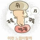 한국산전 이미지