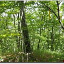 소리봉농장 이미지