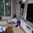 누리켄넬 이미지