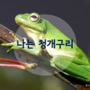 청개구리 이미지