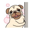 양기운 네이버블로그