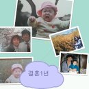 잉꼬수선