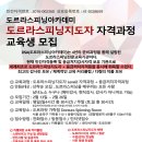 도르라핏 Daum카페
