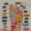 건강지도 이미지