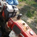 국제라지에타 이미지