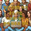 청년 일경험 하기 좋은 기업 리스트! 인기 분야 위주로 정리