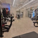 CU편의점(청학플러스점) | CU 편의점 1+1 행사 득템! 신상 반숙란 '호유란' 내돈내산 솔직 후기 (다이어트 단백질 간식)