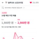 씨앤코컴퍼니블루포트