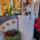 안경마루(운정) | 가성비 좋은 운정 파스타 맛집 도로시파스타 파주스타점