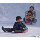 동심 티스토리