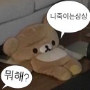 피 대신 우롱밀크티가 흐르는 남자의 대만 혼여행기