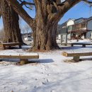 고령신문효열각 이미지