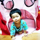 옥토하우스 이미지