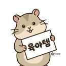 하이브랜드디올가구 | [육아용품] 아가드 그로우 하이체어 / 아기 하이체어 / 이유식 의자 / 사용후기 / 내돈내산