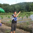 은선농장 이미지