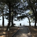 궁평항 주차장 공중화장실 이미지