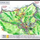 유신상회