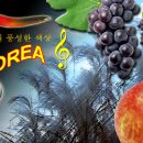 (주)예제나 이미지