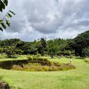 오리가 좋다 PC게임랜드 | 제주 서귀포 카페 추천 오리가 있는 담소요 너무 좋다!