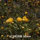 매크로스튜디오 이미지