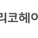 리코헤어 - 북구 | 리코헤어