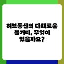 동산농장 | 제주 허브동산 가볼 만한 곳 솔직 후기와 비교분석
