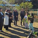 도마초등학교 이미지