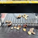 주방가전 가스그릴 브라텐 내돈내산 한달사용 제품후기