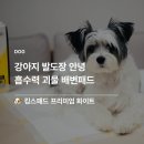 4공단로1L-25 | 강아지 배변패드 흡수력 끝판왕 킹스패드 프리미엄 화이트 재구매 후기