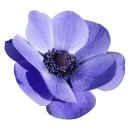 야훼이레 이미지