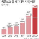 냥이댕이 이미지
