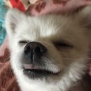 아리따움남문 | 일상포스팅 / 먹는 사진 뿐 @.@