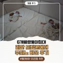 (집)더드림 | 6개월 쌍둥이 아기침대 졸업 후기｜리안 드림콧에서 쿠시노+엘라비아S5로 바꾼 이유(견적 공유)
