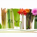 마미플라워 이미지