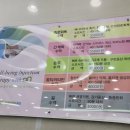 서울차병원 5일배양 동결배아 이식 후기 / 시험관1차