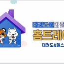 경향태권도 이미지