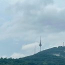세무회계남산 이미지