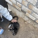 고마나루1999 이미지