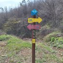 부귀면사무소 이미지