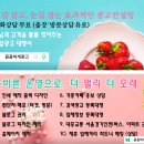 전단지배포시흥