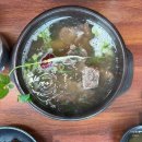 홍천막국수 | 홍천 애견동반 식당 삼생촌 막국수 갈비탕 내돈내산 후기