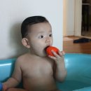 버터 플라이짐 이미지