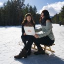 프리랜서 이미지