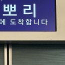 세븐일레븐 포항항구점 | 4월 말~5월 도쿄 여행 5일차 - 우에노 공원