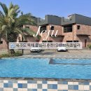 오션브릭풀빌라 | 제주도 독채 풀빌라 서귀포 숙소 추천! 오션브릭풀빌라