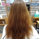 미앤미장 네이버블로그