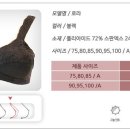 브라이브인 이미지