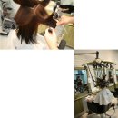 엘레강스미용실 - 진주시 동부로587번길 7 | 엘레강스미용실